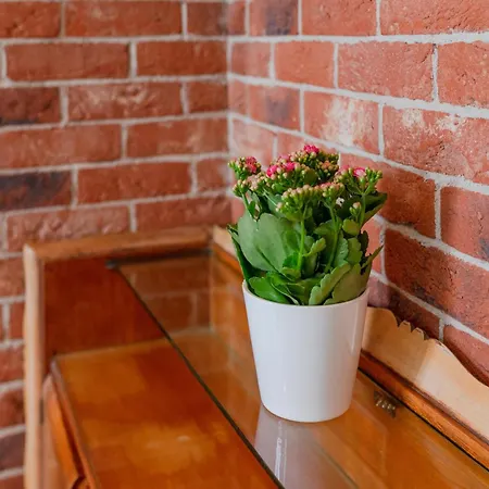 Daire Contemporary Loft-style Flat In San Salvario